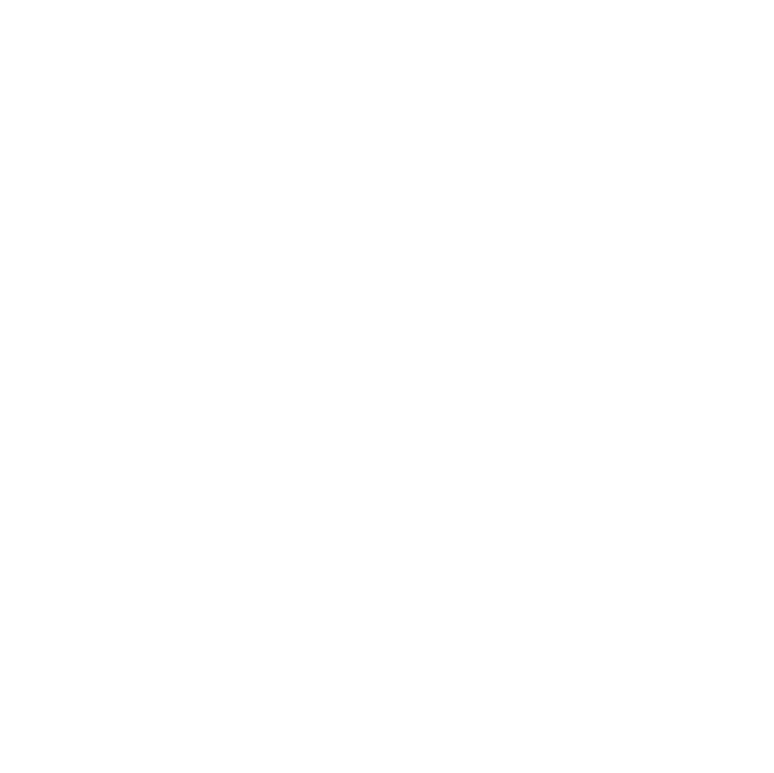 Studio Nordic Sense Kauneushoitola Jyväskylä logo